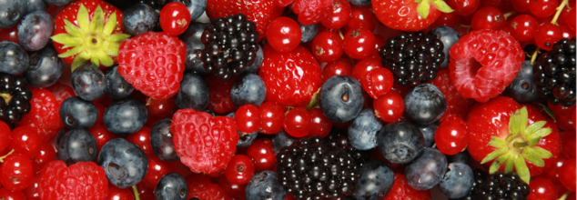 8 Nutrient-Rich Berries To Pick For Your Daily Diet