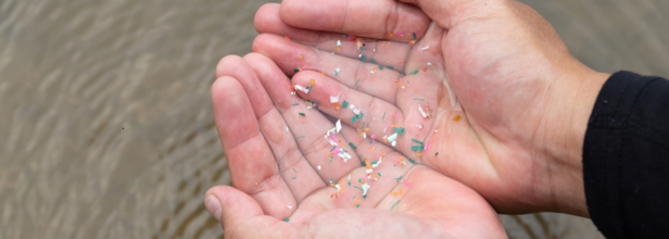 Are microplastics harmful?