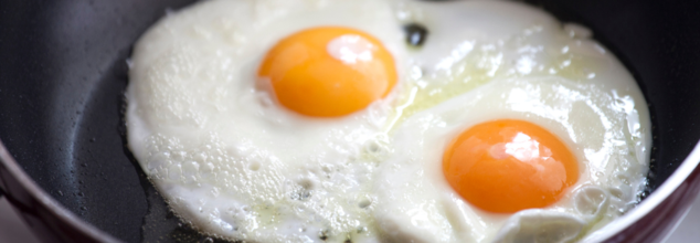 Are eggs cooked in oil healthy? (Credit-Canva)