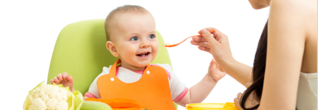 Homemade Baby Food Recipes: What You Can Feed Your Baby In The First Year