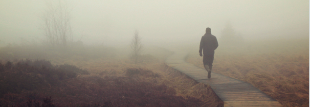 When Fear Clouds Judgment- The Psychology Behind The Mysterious Fog Over US And Canada