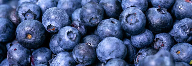 Blueberries