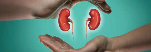 HMPV Effect On Kidney