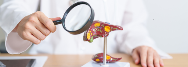 Can gut fix a liver disease?