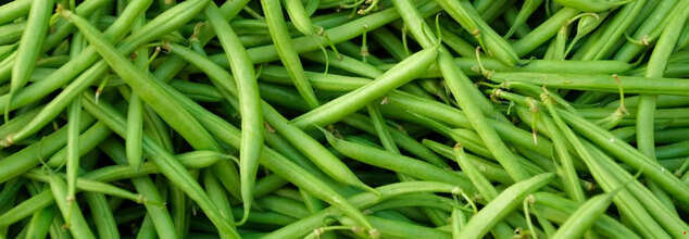 Green Beans