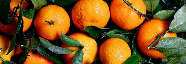 Oranges