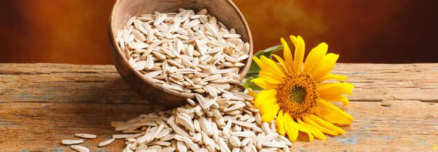 Sunflower seeds