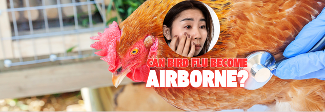 What Happens If Bird Flu Becomes Airborne? Here’s How Long Infection Lasts