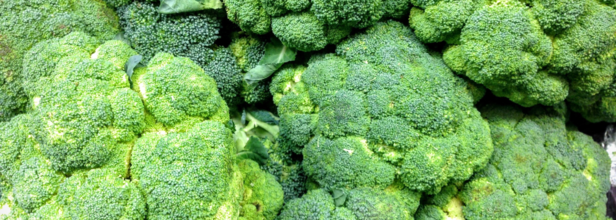 Broccoli recalled amid Listeria outbreak