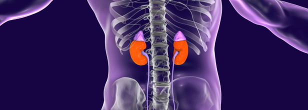 Chronic Kidney Disease