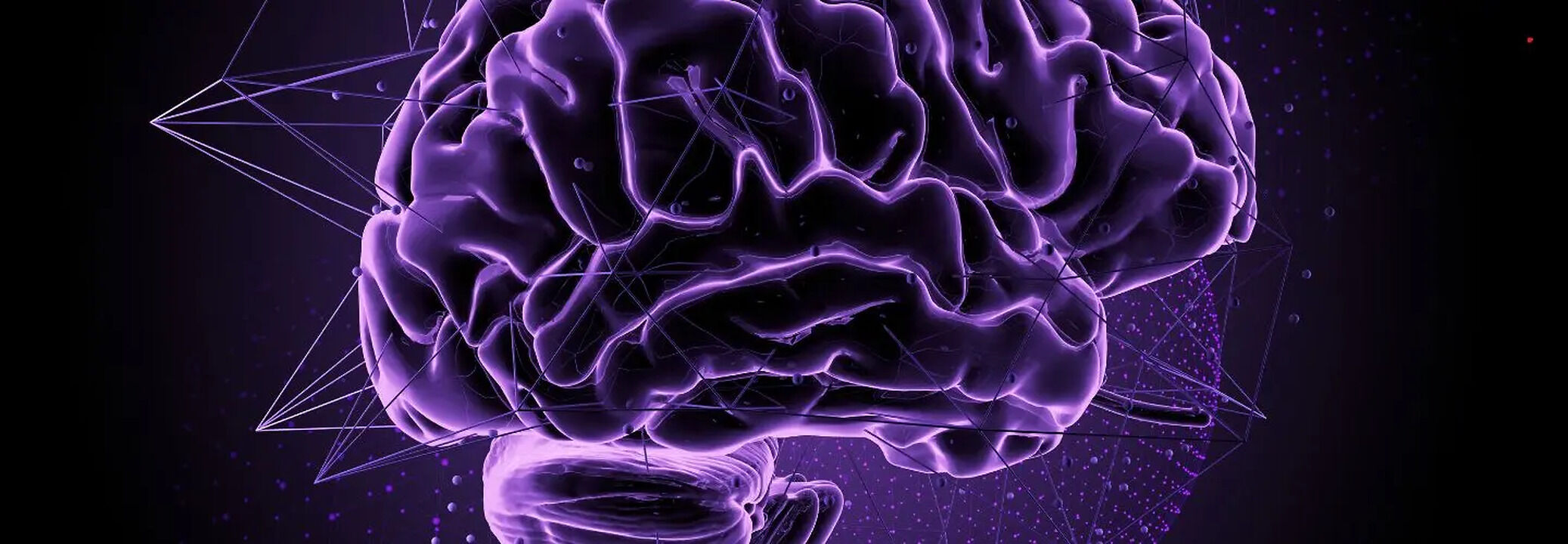 Human Brain Is Wired for Survival—Here's How to Rewire It For Success ...