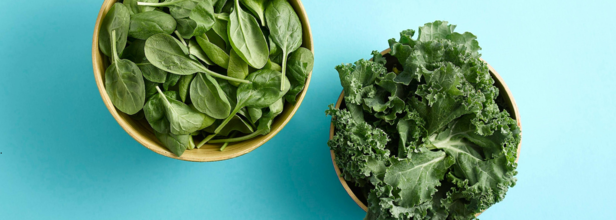 Spinach vs Kale