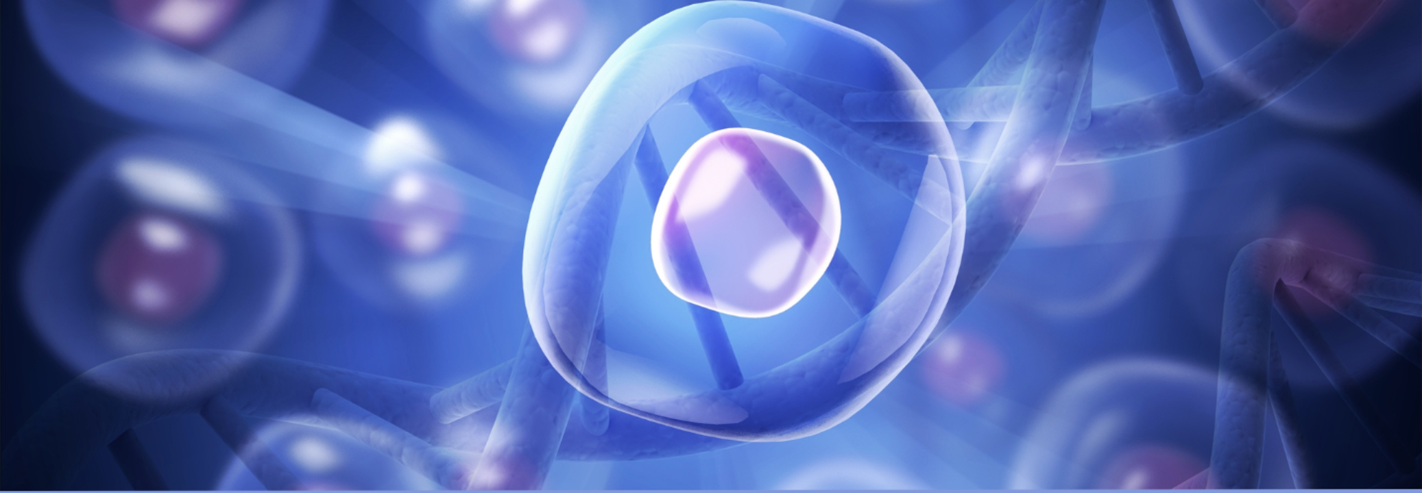 Between Life And Death, Your Cells Are Conscious- Alive In The Unexpected State Of Being