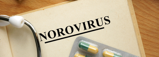 Norovirus