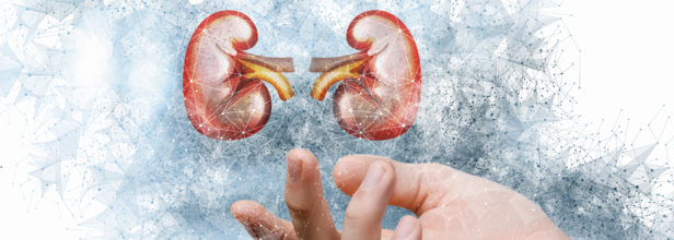 World Kidney Day
