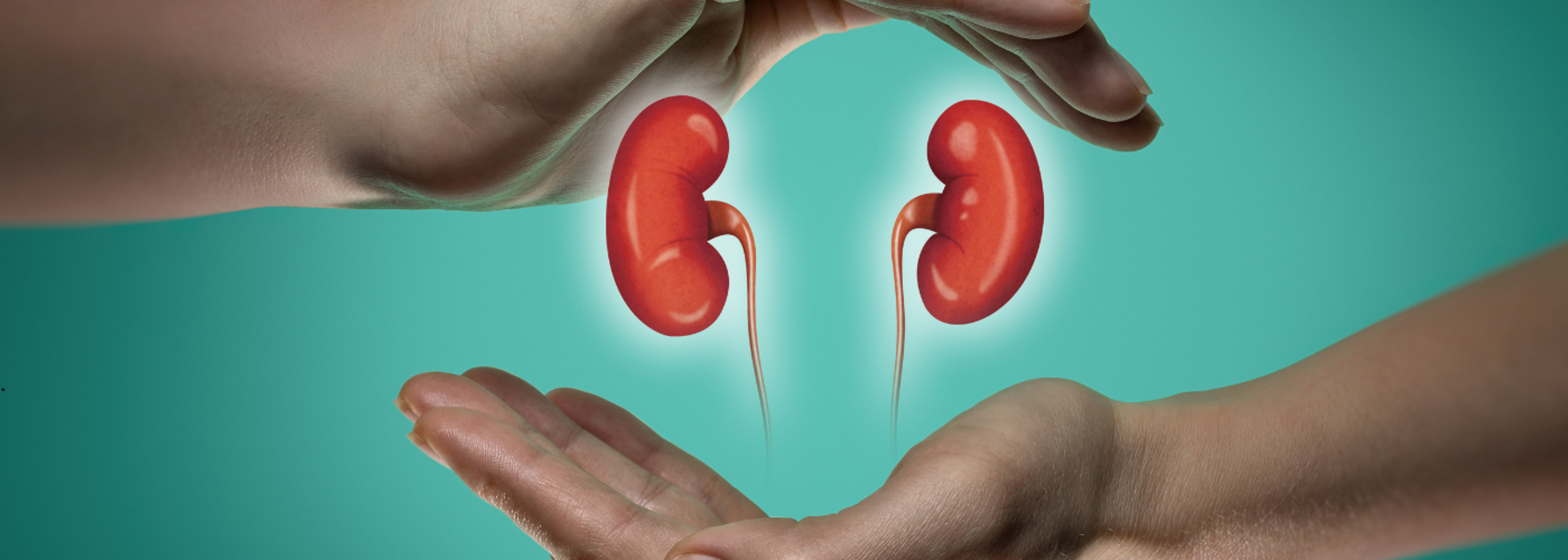 World Kidney Day 2025 Theme, History, and Significance Health and Me