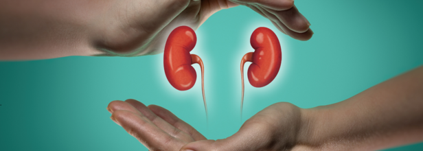 World Kidney Day 2025