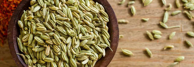 Are Fennel Seeds Good For Kidney Health?