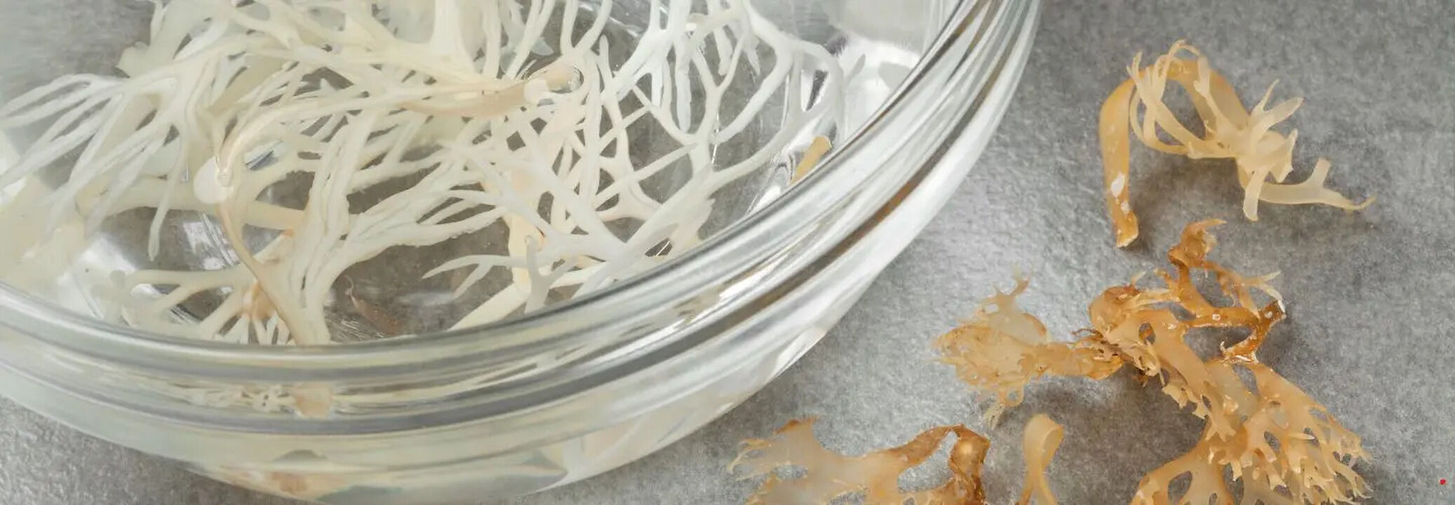 Does Eating Sea Moss Boost Your Immunity? | Health and Me