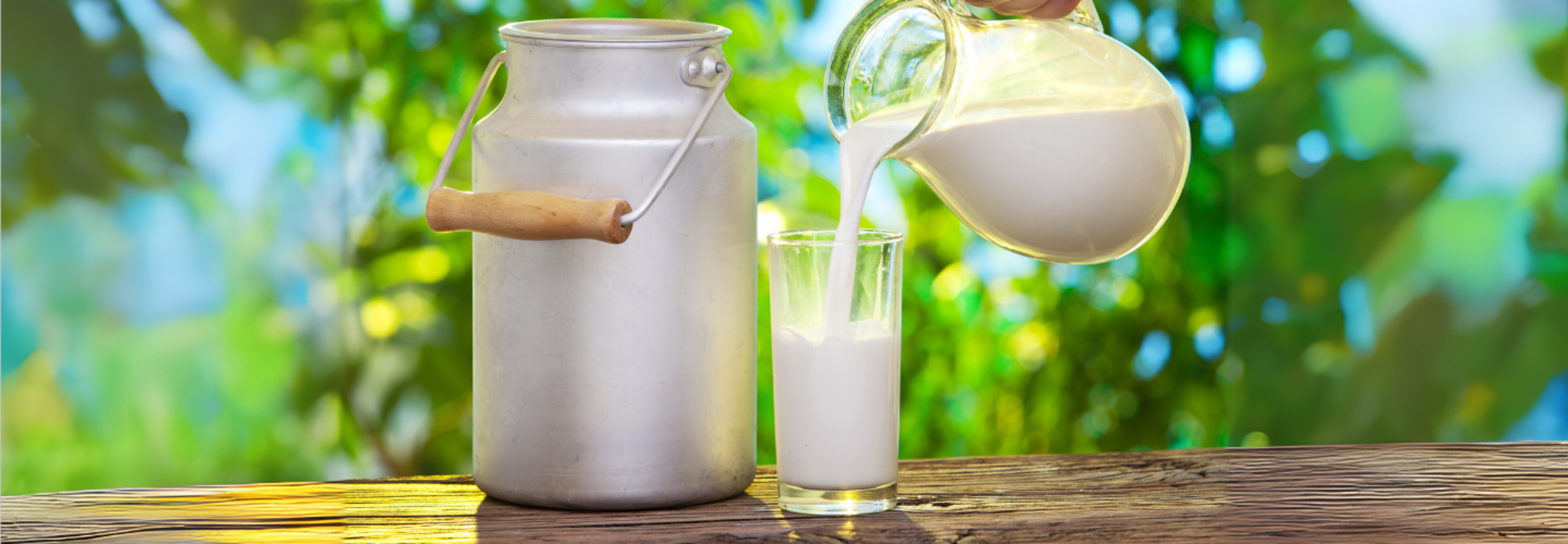 WHOLE MILK VS LOW FAT MILK WHICH IS HEALTHIER intelligence overview