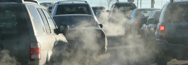 India falls short on air quality index by WHO