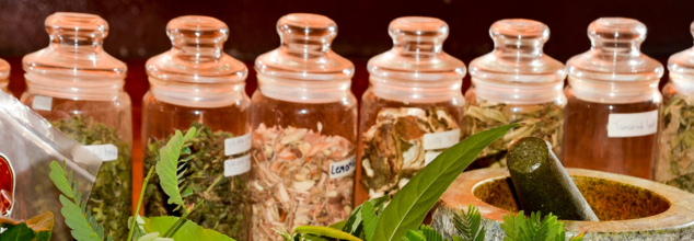 This Could Be Your Go-To Ayurvedic Skin Care Routine