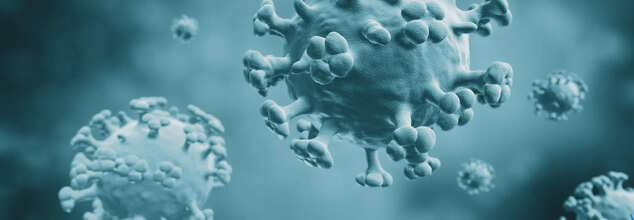 New Pandemic 2025: Bird Flu Spreads Across Dairy Farms In All 50 States