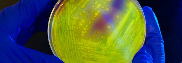 Metagenomics Saves Woman's Sight In UK—Is It The Gamechanger In Diagnostics?
