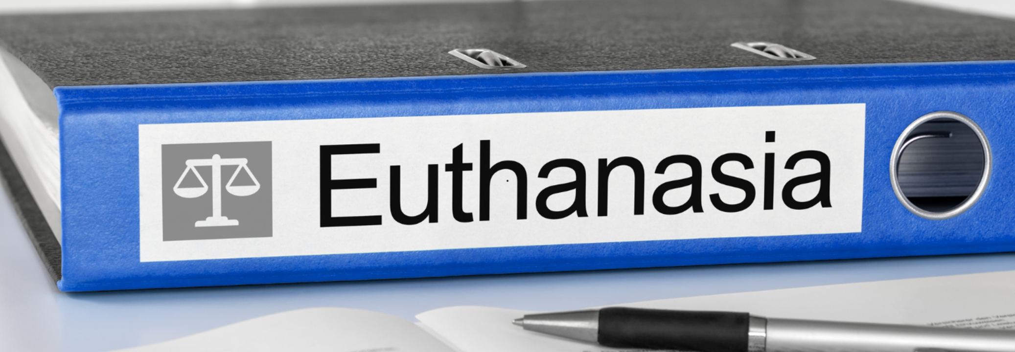 Plea of Chilean Woman With Muscular Dystrophy Sparks National Debate on Euthanasia Bill