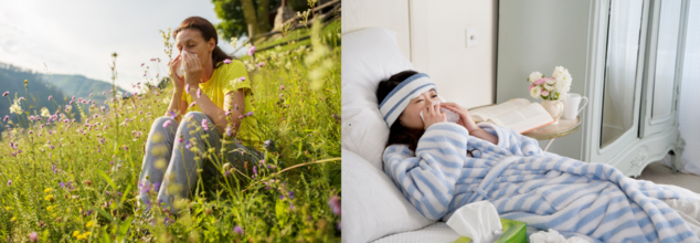 How To Know If You Have A Cold Or A Pollen Allergy?