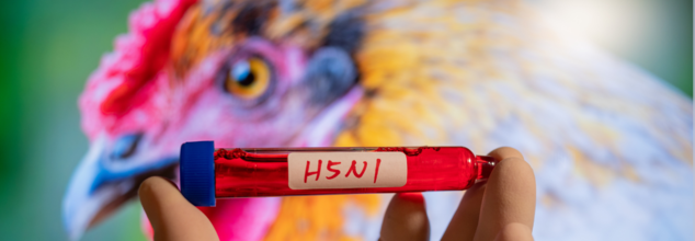 Is Bird Flu Turning Into Another Pandemic? All About The H5N1 Outbreak Spreading Across US