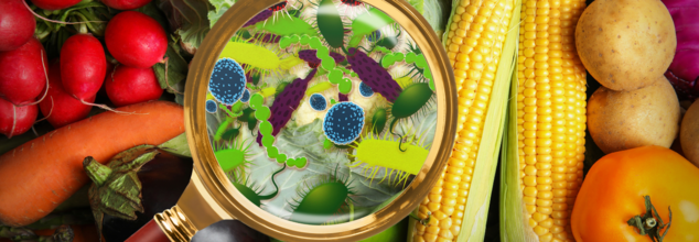 Listeria Outbreak in US