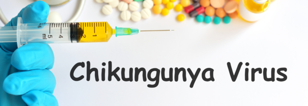No Chikungunya Vaccine For US Adults 60 And Above, Declares CDC