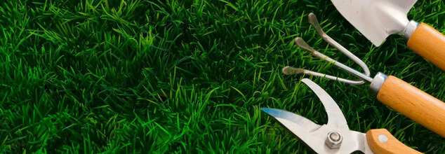 Gardening Helps Slow Down Cognitive Decline