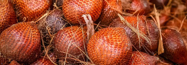 Snake Fruit Is Nutrition Powerhouse-Here's Why You Should Add To Your Diet