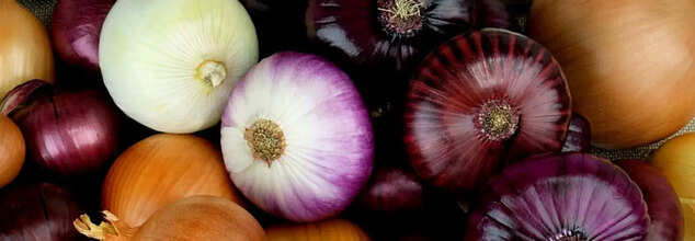 Fact Check: Are Garlic And Onion Recommended In Ayurveda?