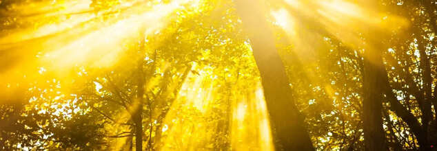 Is There A Right Way To Absorb Vitamin D From Sunlight?