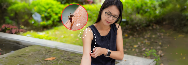 Think Mosquitoes Bite You More Than Others? 5 Weird Biological Reasons Why