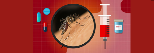 Why Is Dengue Fever on the Rise Despite Vaccines?