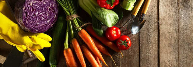 Going Vegetarian? These Protein-Packed Vegetables Have You Covered