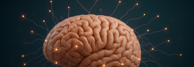 tips to keep your brain active as you age