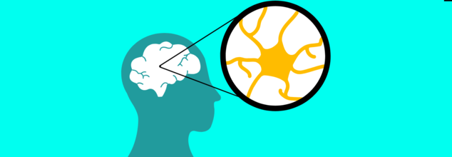 Unexpected Type 2 Diabetes 'Cure' Found In The Brain, Could This Be The Link In Treatment?