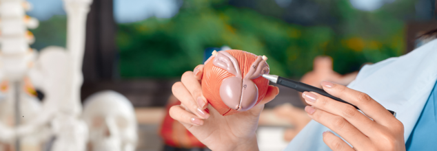 first human bladder transplantation