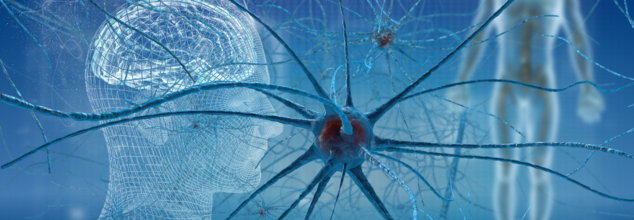 Probiotics Can Keep You ‘Happy, Healthy And Wise’ Reveals Breakthrough Study