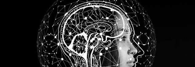 Brain Rot: How Endlessly Scrolling Reels May Be Rewiring Your Brain?