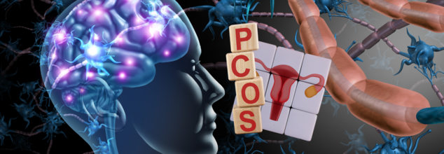 PCOS impacts cognitive function