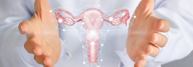 does your cervix sizes change throughout your life?