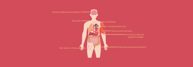 How Does Stress Impact Your Body?