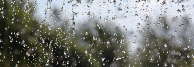 Untimely Rainfall Leaves The Country Prone To These Infectious Diseases