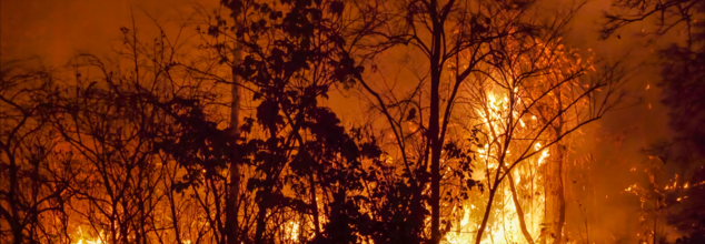 Wildfires Caused Health Symptoms Could Affect Your Heart And Lungs For Months: Study